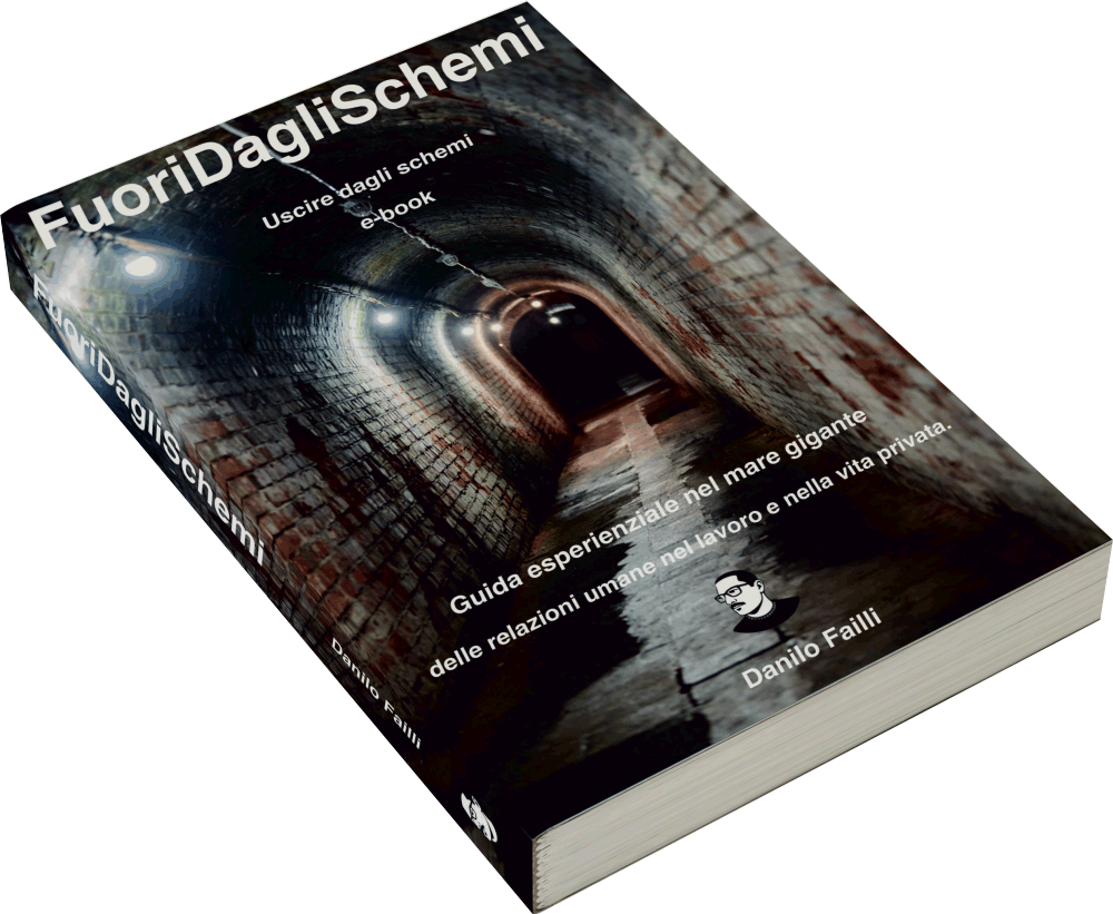 Fuori dal coso - Fuori dagli Schemi ebook